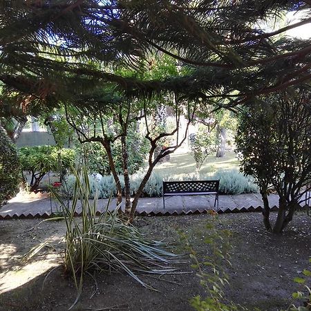 ואסטו Park Hotel Resort מראה חיצוני תמונה