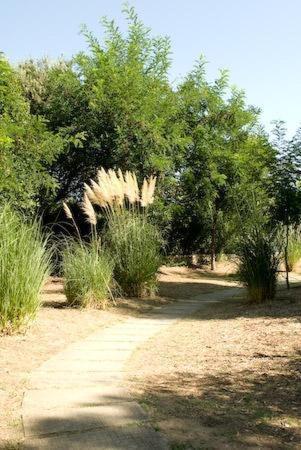 ואסטו Park Hotel Resort מראה חיצוני תמונה